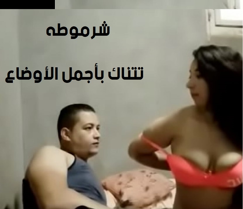سكس عربي | شرموطه تتناك بأجمل الأوضاع