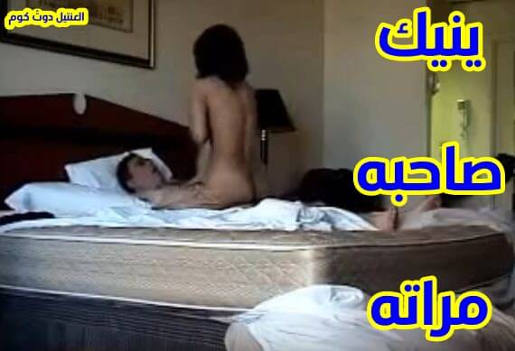 افلام نيك عربية سكس مع صاحبة مراتة الجامدة جنس جديد