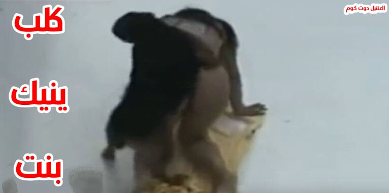 بشر مع حصان ينيك كسها بقوه سكس حيوانات في الاسطبل