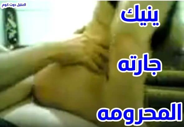 شاب ينيك مصريه في المنزل يفشخ كسها نيك سكس مصري