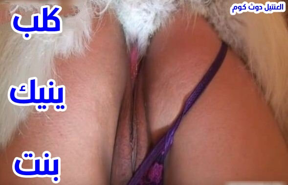 عايز سكس حيوانات ساخنة والجنس القوي مع اجمل بنات