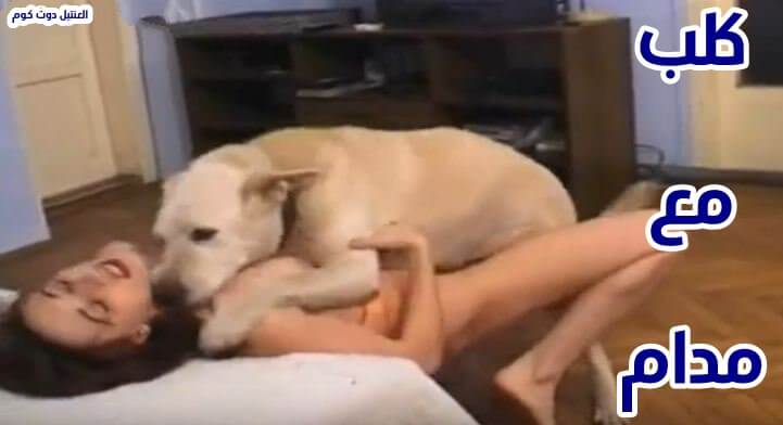 كلب مع كس مدام محرومه افلام سكس حيوانات في المنزل