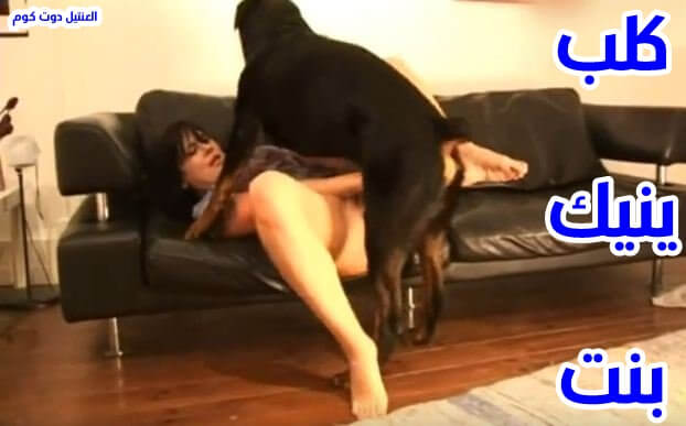 كلب يزنق بنت وينيك كسها بحرفه شوف سكس كلاب مع بشر