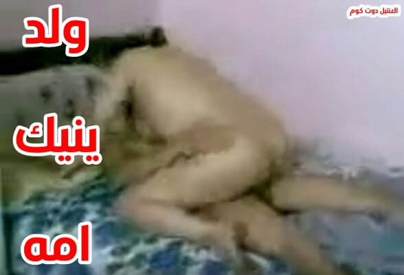 نيك مصري محارم ولد ينيك امة البيضاء بعنف فشخها سكس عربي