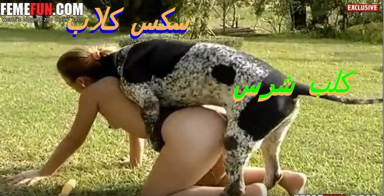 سكس ساخن شرموطه بتتناك من كلب مفترس فى مكان عام